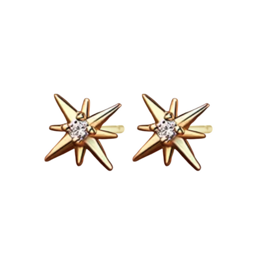 Luna Collection - Star Burst Earrings