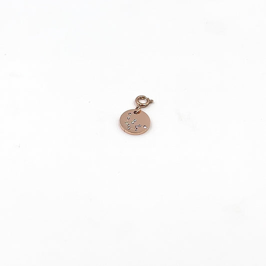 Maker Collection - Rose Gold Aquarius Zodiac Charm (Jan 20 - Feb 18) (Ambassador)