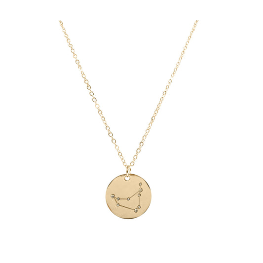 Zodiac Collection - Capricorn Necklace (Dec 22 - Jan 19)
